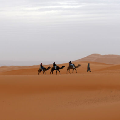 Excursión de 4 días de Marrakech a Fez por el desierto