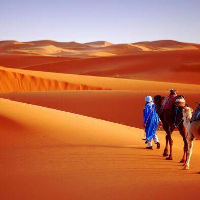 Paseos en camello por el desierto de Merzouga