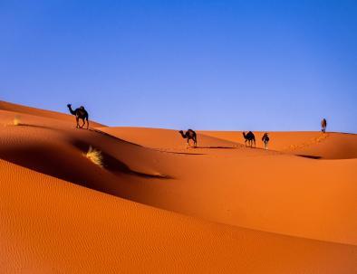 Excursiones desde Casablanca. Grupo personalizado, rutas privados al desierto.
