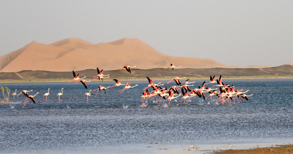 Lago de Dayet Srij, joyas ocultas del desierto de Merzouga
