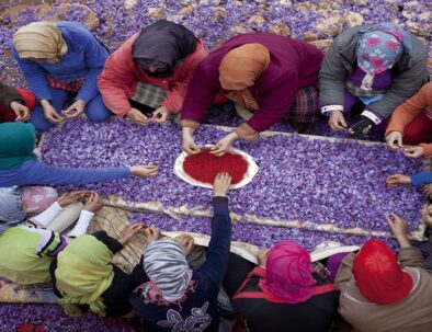 mujeres elaborando el azafrán marroquí