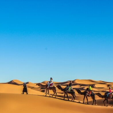 Camel trekking es la mejor experiencia que tendrá con nuestro 4 días Marruecos desierto tour de Marrakech