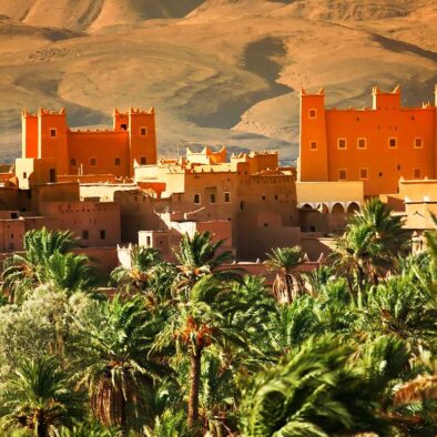 Un'oasi in Marocco