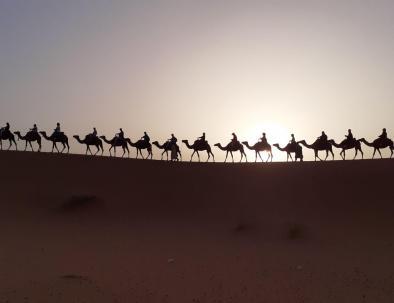 Erg chebbi zandduinen en kamelenkaravaan, en activiteit met onze glamping morocco