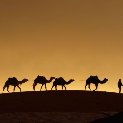 Giro in cammello durante il nostro tour di 4 giorni in Marocco da Casablanca