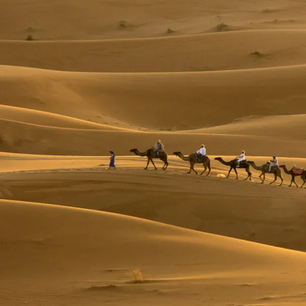 Tour Marocco 3 Giorni Da Fes Al Deserto