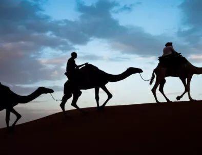 Il Tour Ottimale di 3 Giorni Attraverso il Deserto del Sahara da Fes a Marrakech