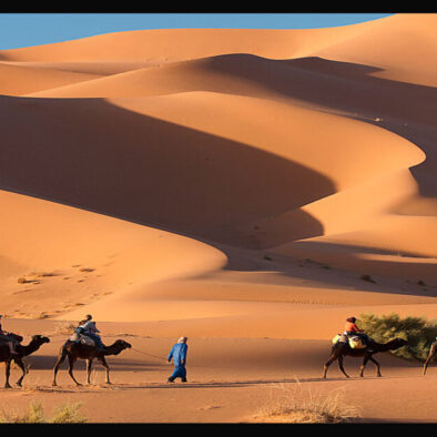 Deserto di Merzouga: Giro in cammello nel tour di 7 giorni in Marocco