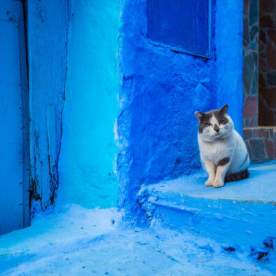 Chefchaouen: città blu durante il tour di 9 giorni in Marocco da Tangeri a Marrakech