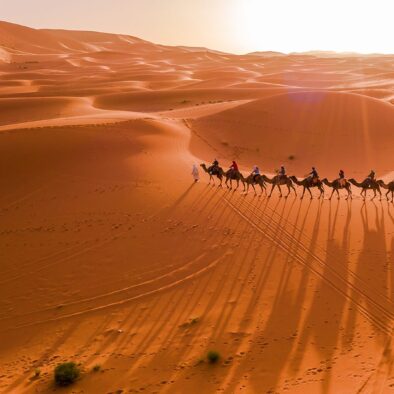 Deserto del Sahara di Merzouga con i cammelli