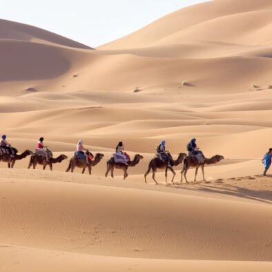 Carovana di cammelli nel deserto di Merzouga