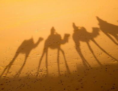 Cammelli tra le dune di sabbia Glamping Marocco, trekking e campeggio, tour del deserto di Merzouga.