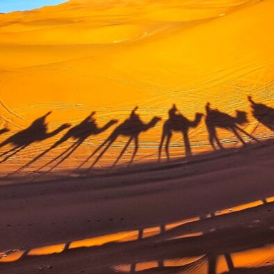 L'ombra della camma nel deserto di Merzouga