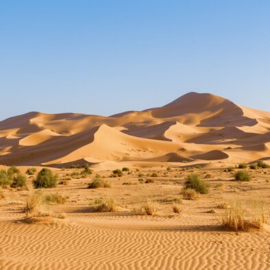 Merzouga Deserto del Sahara
