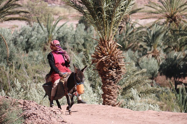 la gente del Marocco, i marocchini e le loro tradizioni