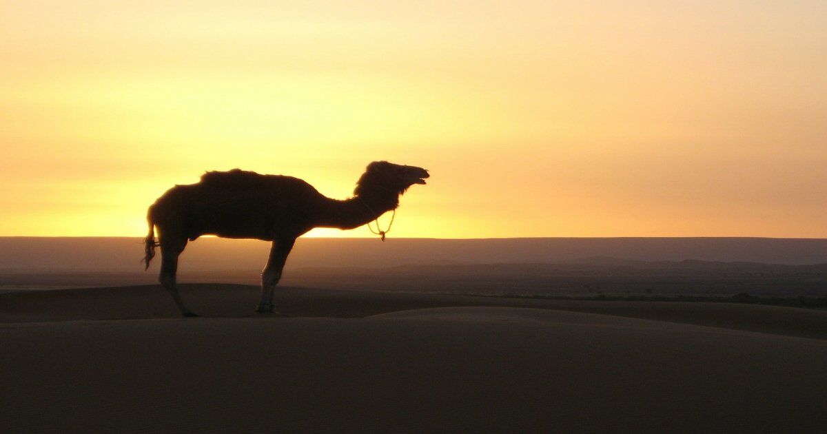 Tour In Marocco 2 giorno da Fes a Merzouga deserto
