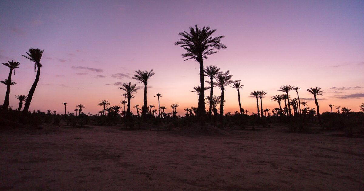tour di 4 giorni in Marocco da Fes a Marrakech e al deserto del Sahara.