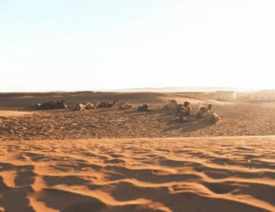 El Sahara del Marocco