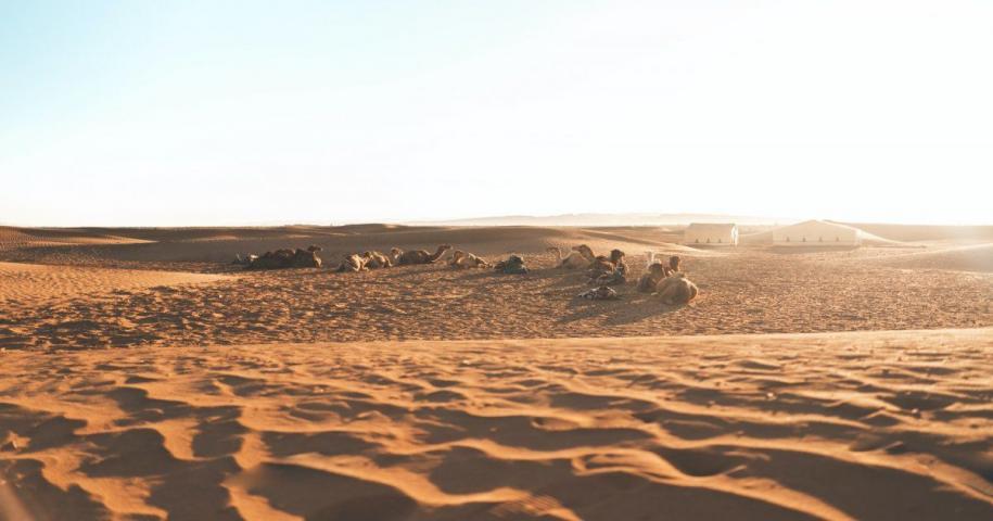 El Sahara del Marocco