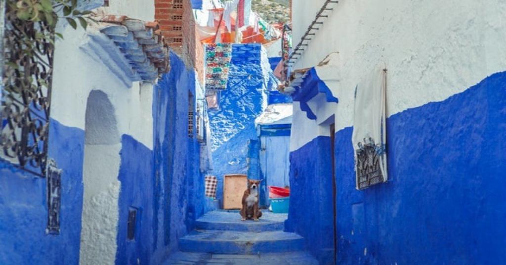 La città blu del Marocco