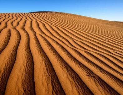 Deserto di Zagora o Merzouga?