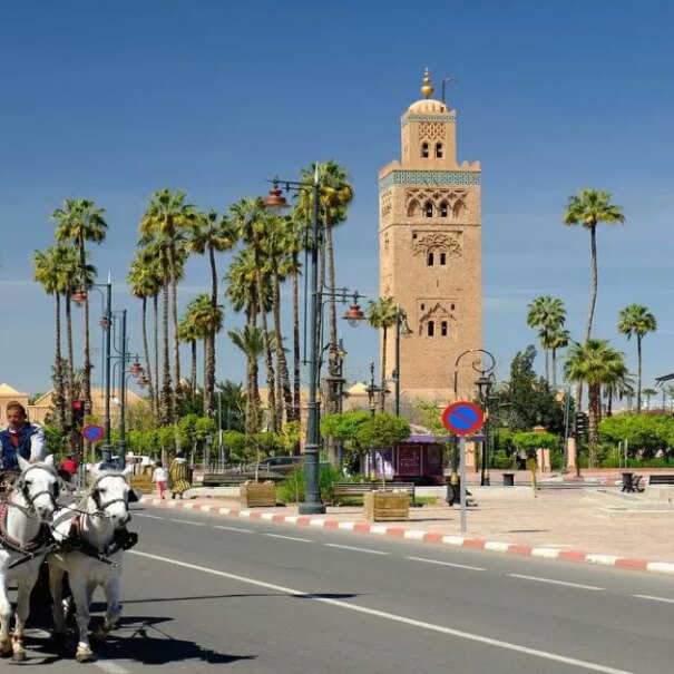 Viaggio di 12 giorni da Marrakech