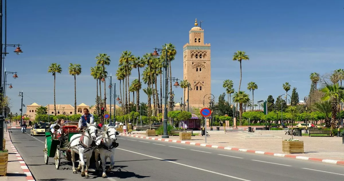Viaggio di 12 giorni da Marrakech