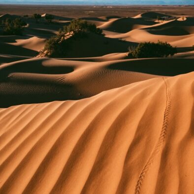 Le dune di sabbia del deserto di Zagora con il nostro tour di 2 giorni da Marrakech