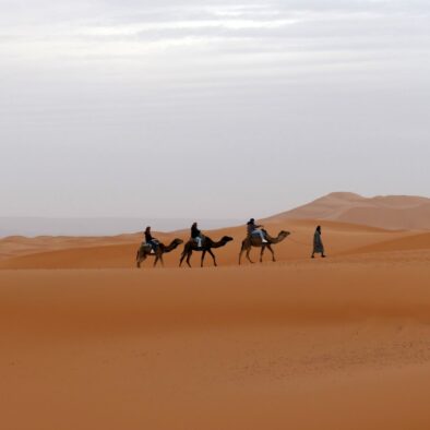 Il trekking a dorso di cammello è l'esperienza più importante che potrete fare durante il tour nel deserto da Marrakech a Fes di 4 giorni
