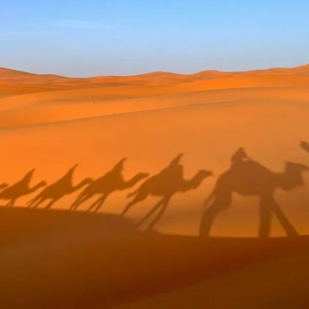 One-Week Tour in Morocco From Tangier to the Merzouga desert