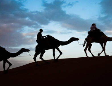 The Best 7-Day Desert Tour From Casablanca To Marrakech with a camel ride