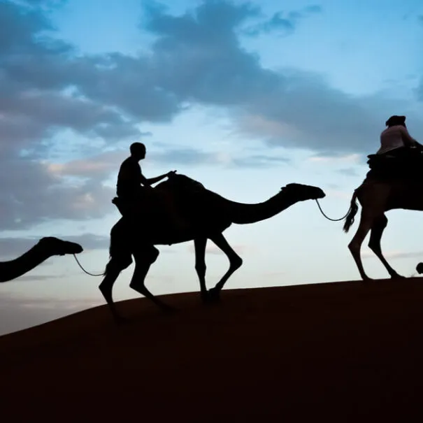 The Best 7-Day Desert Tour From Casablanca To Marrakech with a camel ride