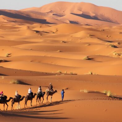 14-day tour in Morocco from Casablanca