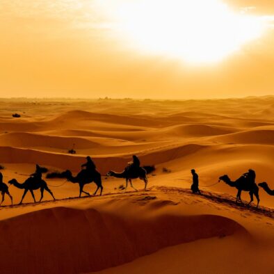 Sahara camel ride on the 3-day Fes to Marrakech desert
