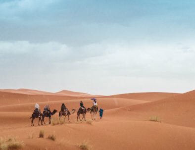 With our morocco 2 week itinerary you will visit the mosua of hassan II
