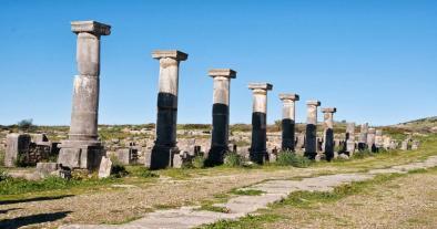 The site of roman ruins Volubilis