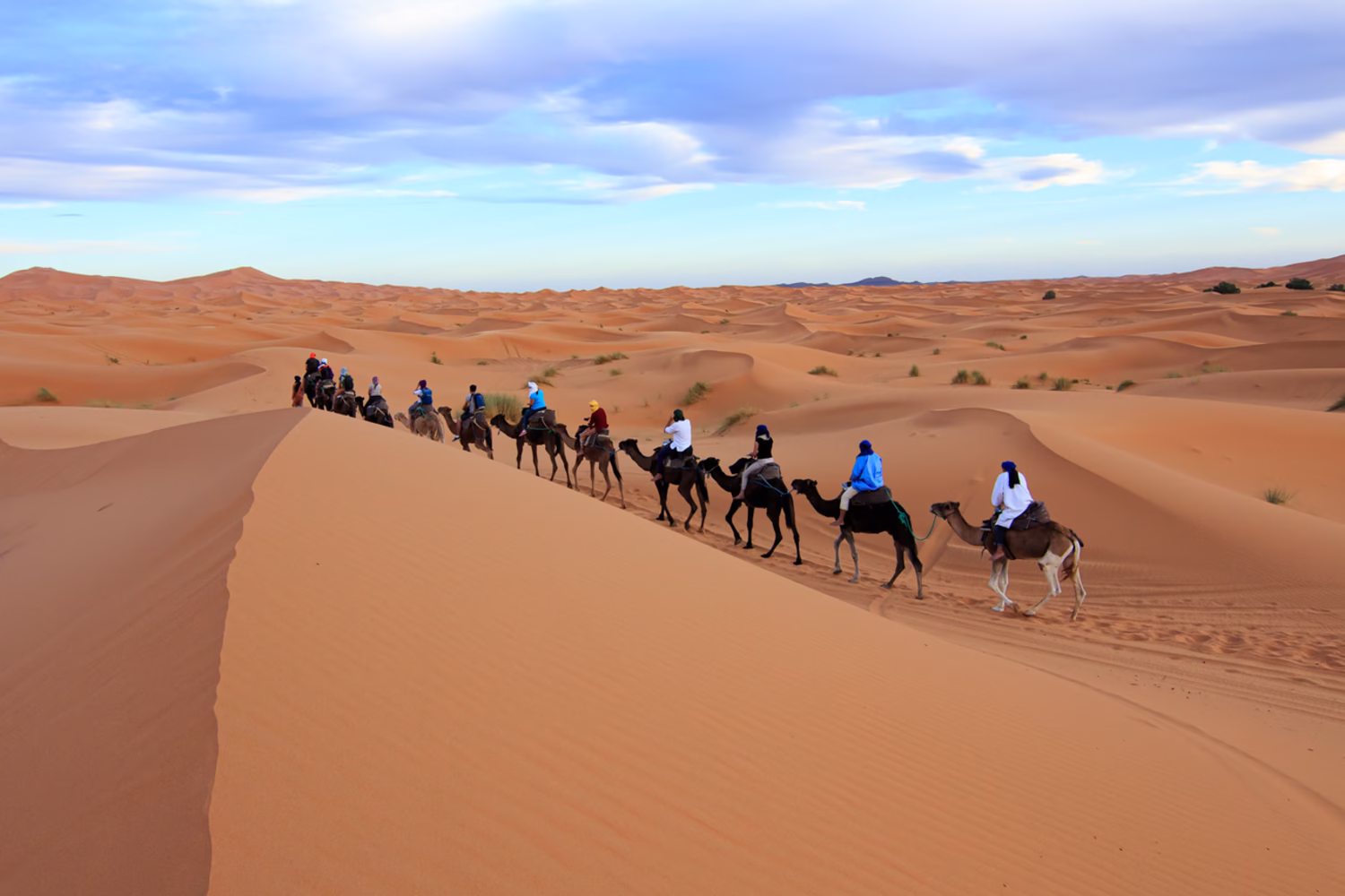 Caravana de camellos cruzando las dunas doradas del desierto de Merzouga en Marruecos, una de las mejores actividades en Merzouga para los viajeros que exploran el Sáhara.