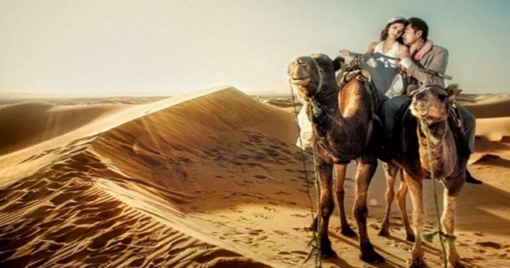 couple on a camel's back