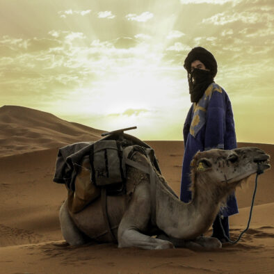 Camel rides in Merzouga desert, the highlight of our 7-day desert tour from Agadir