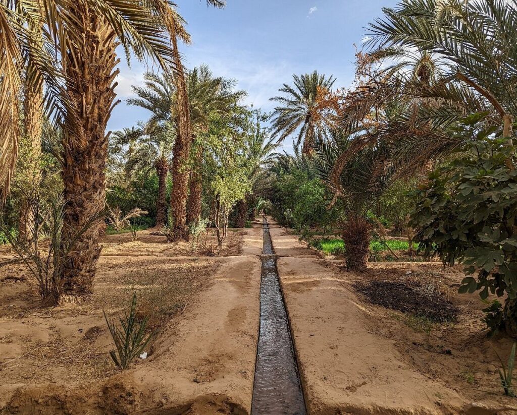 Hassi Labied Oasis, a visit during the ATV quad biking in Merzouga