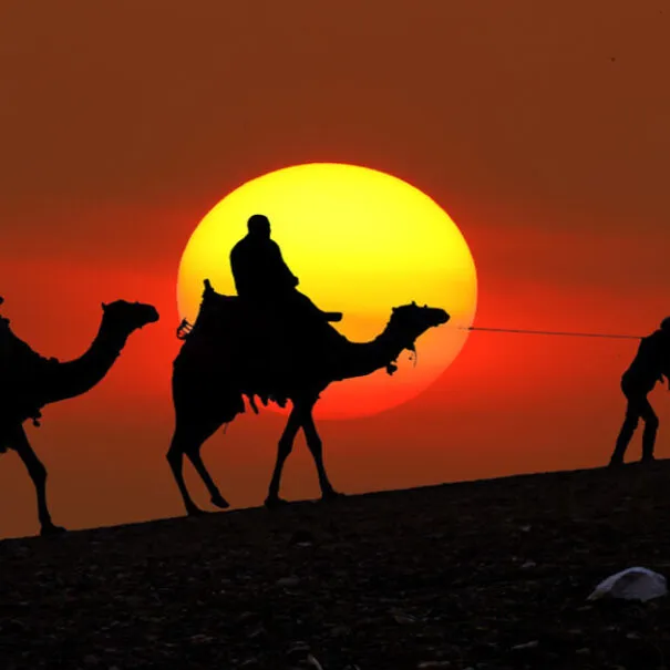Epic Days of Desert Discovery: 9-Day Desert Tour From Casablanca​