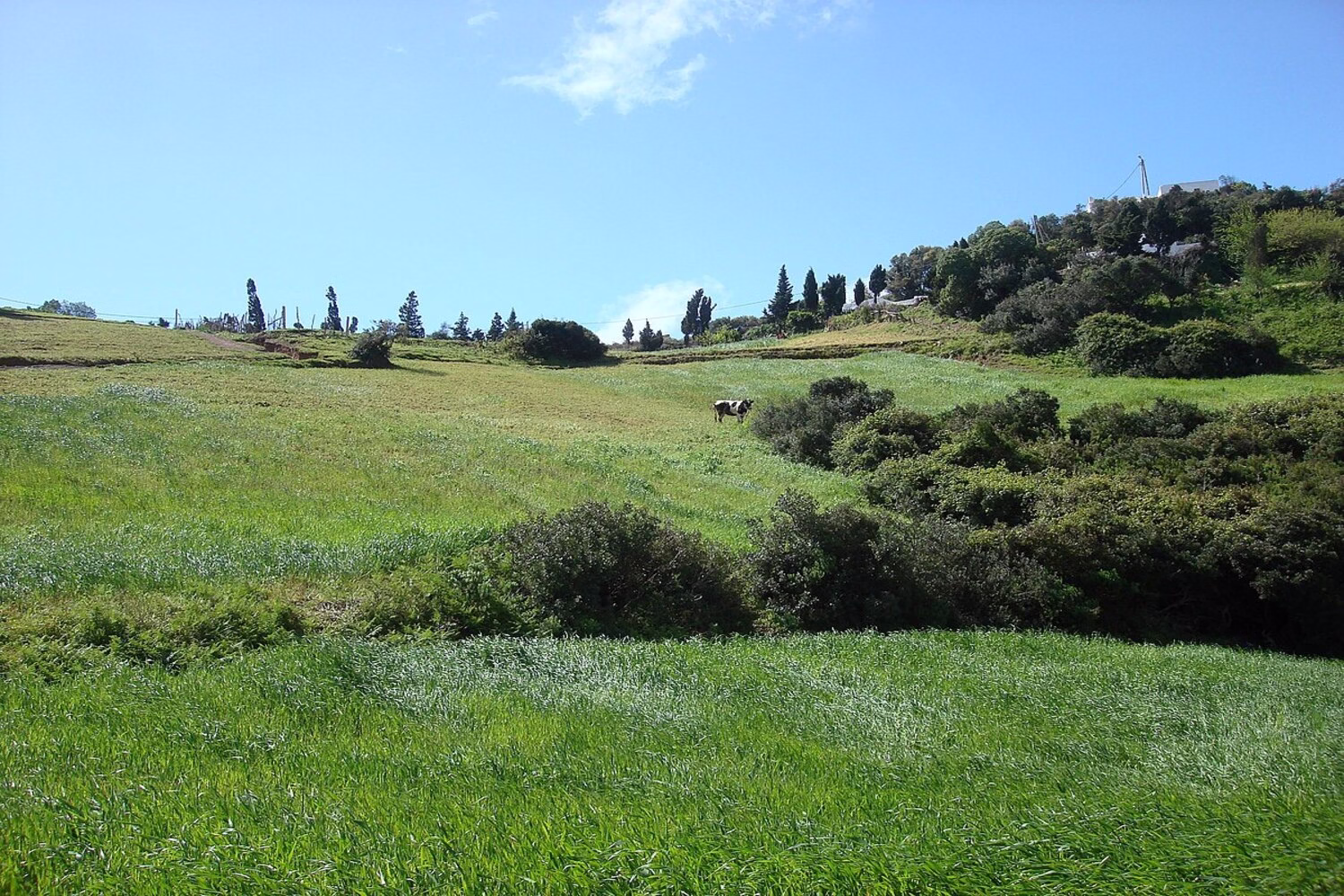 Vista aérea del centro de Tetuán, Marruecos, con coches circulando por una rotonda, edificios de apartamentos modernos y las montañas del Rif al fondo.