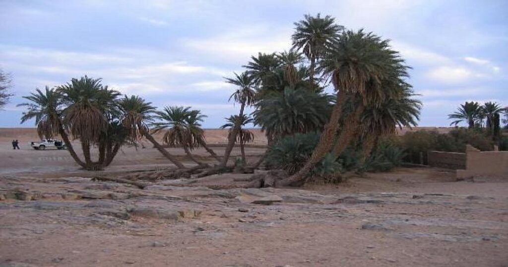 The oasis in Erg Chigaga