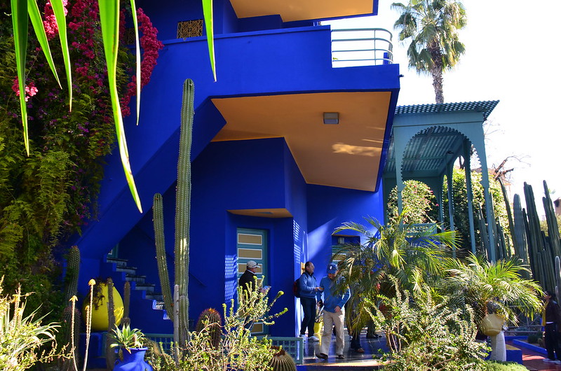 Majorelle gardens in Marrakech, blue walls