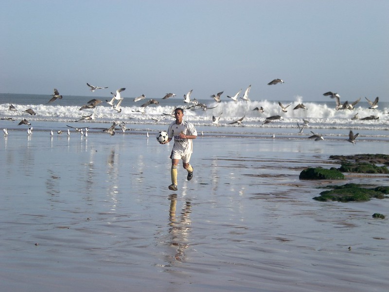 Birdwatching at the Oualidia Wetlands