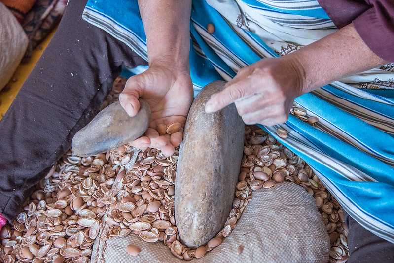 Visiting an argan oil cooperative