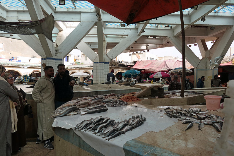 Porto e mercato del pesce di Essaouira