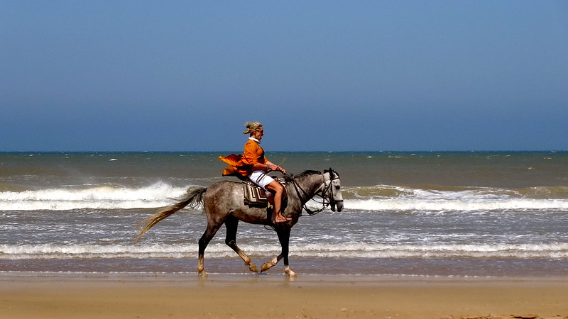 Horse riding at the beach