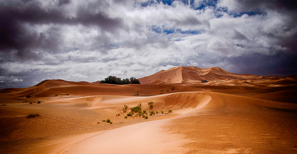 The Sand dunes of the Merzouga desert