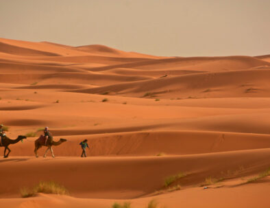 Sahara Desert camel ride: Uncover the Fascinating Wonders